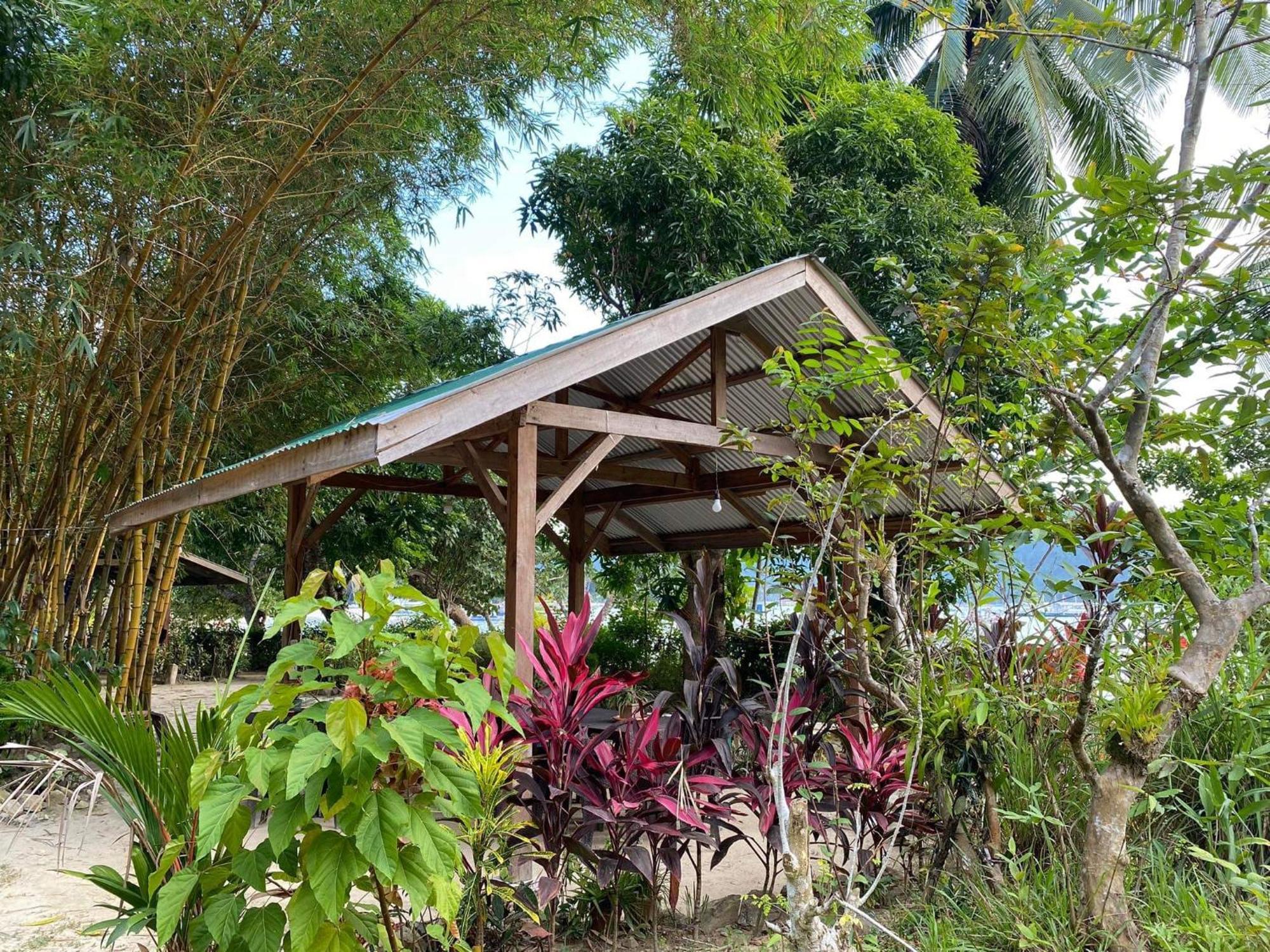 Port Barton - Paradiso Azul Campsite Beachfront With Internet San Vicente  Exteriér fotografie