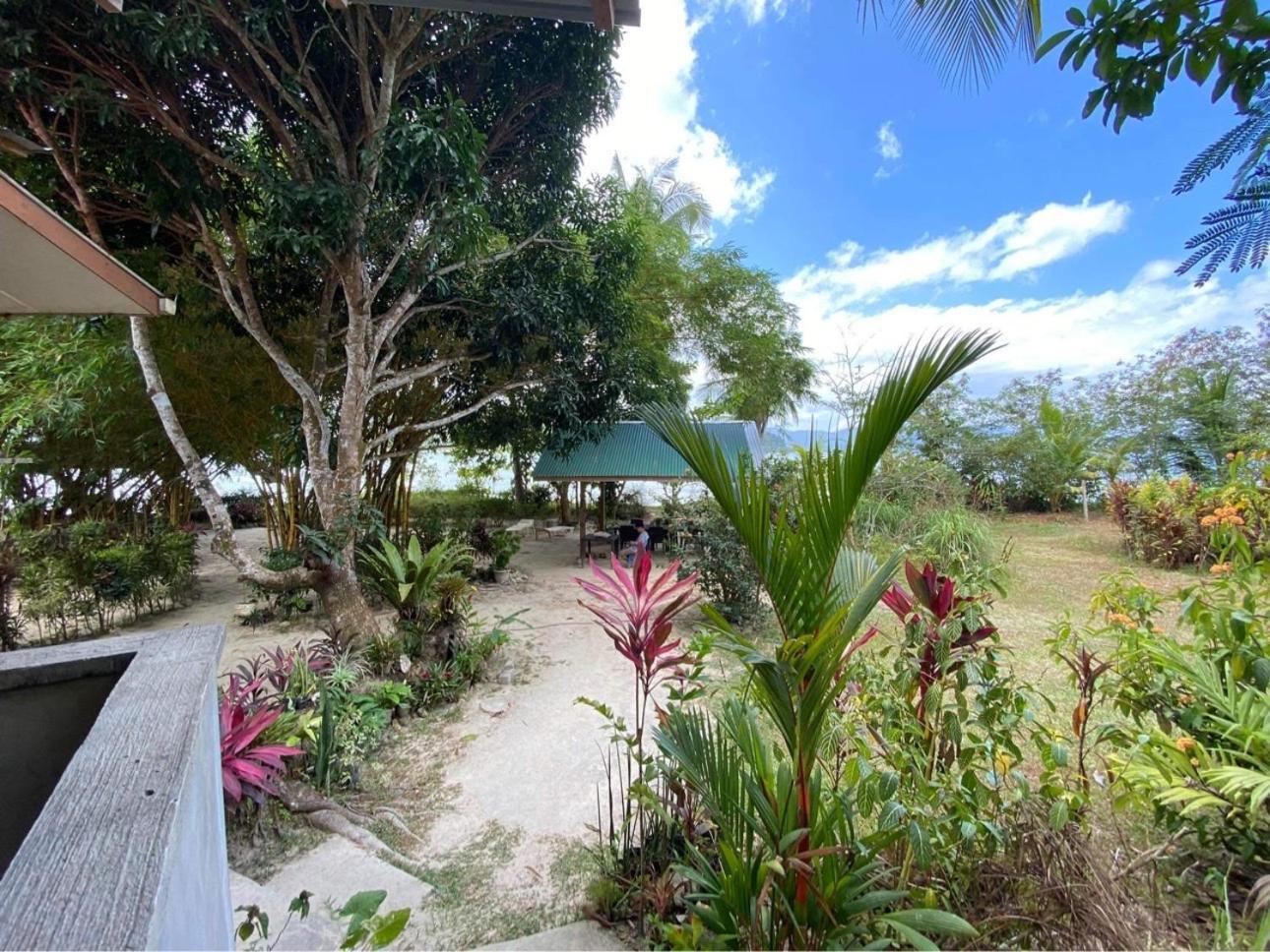 Port Barton - Paradiso Azul Campsite Beachfront With Internet San Vicente  Exteriér fotografie