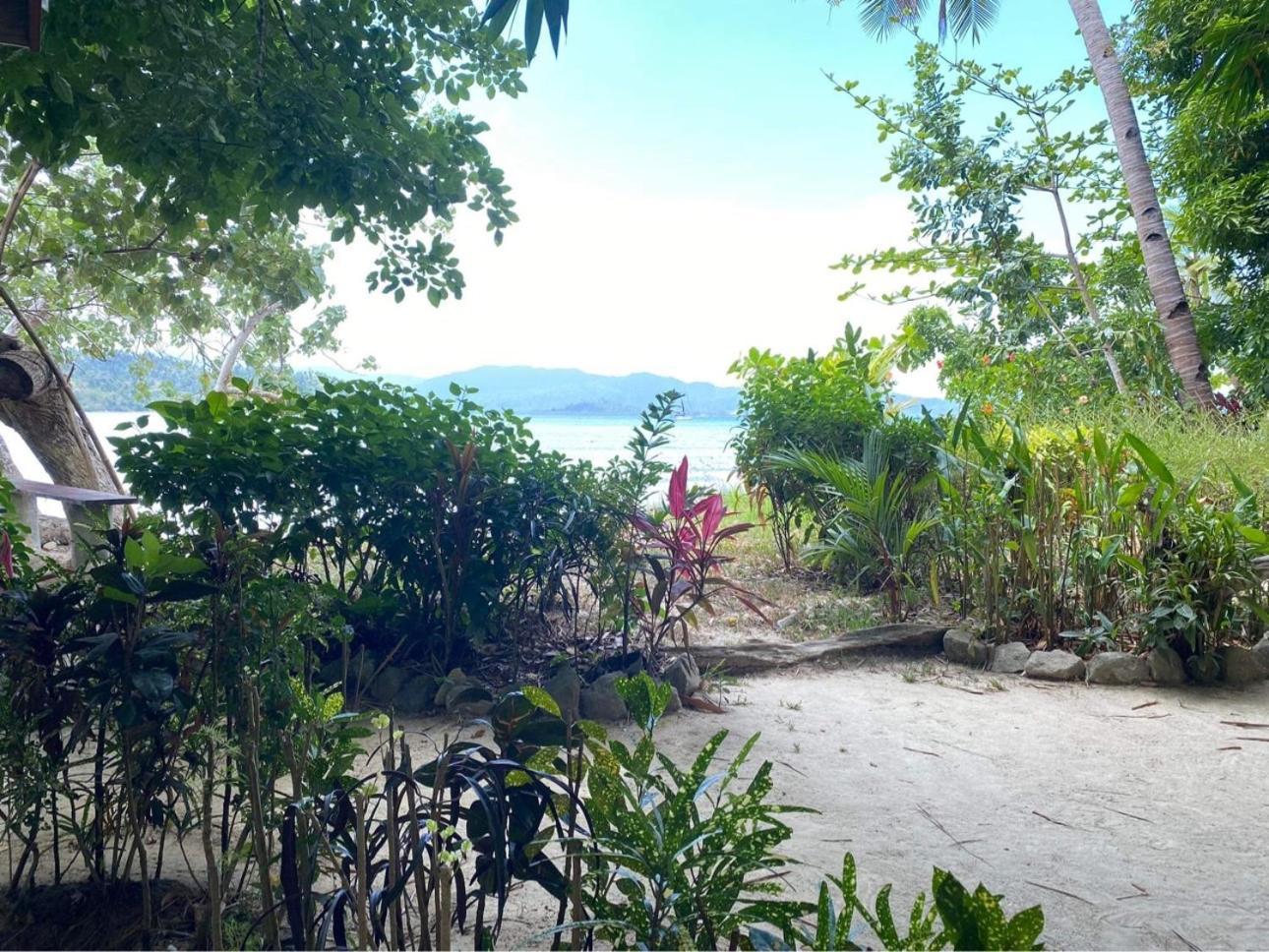 Port Barton - Paradiso Azul Campsite Beachfront With Internet San Vicente  Exteriér fotografie