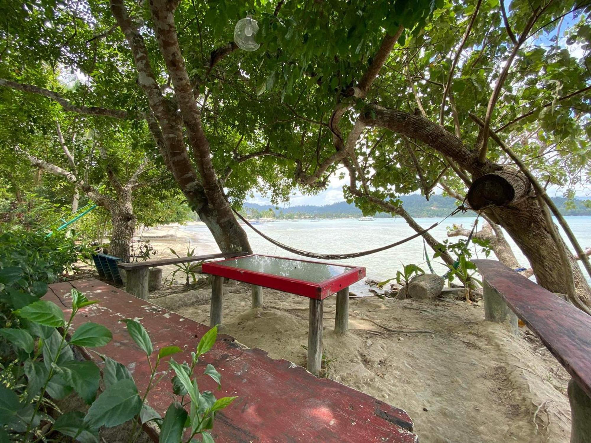 Port Barton - Paradiso Azul Campsite Beachfront With Internet San Vicente  Exteriér fotografie