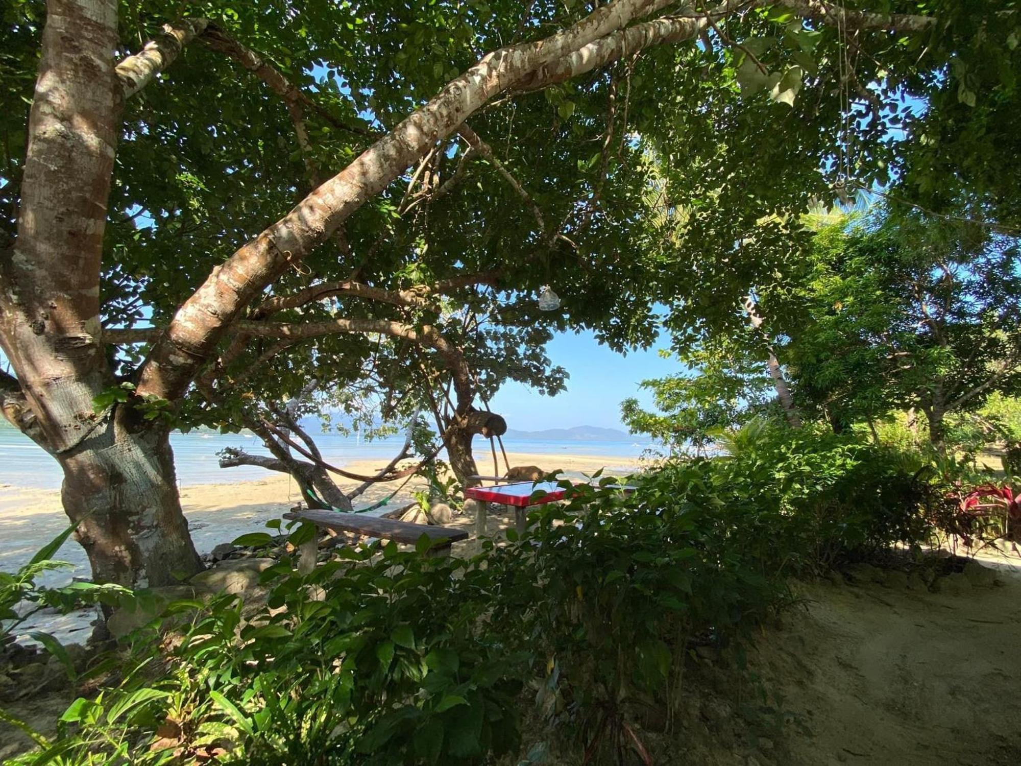 Port Barton - Paradiso Azul Campsite Beachfront With Internet San Vicente  Exteriér fotografie